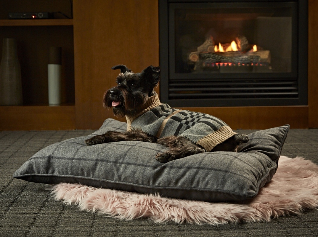 Hotel Doggy Hotel Doggy